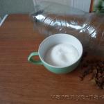 白樺樹液からのクワス-最高の自家製レシピ