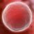 日と週ごとの胚発生システムは集中的に発生する胚を感知します
